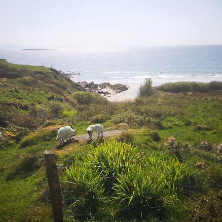Anne'S Thatched Cottage Kilcar Экстерьер фото